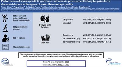 Performance of Scores Predicting Adverse Outcomes in Procurement Kidney Biopsies From Deceased Donors With Organs of Lower-Than-Average Quality